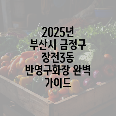 2025년 부산시 금정구 장전3동 반영구화장 완벽 가이드