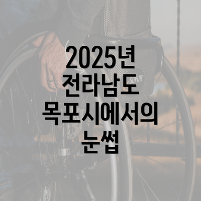 2025년 전라남도 목포시에서의 눈썹