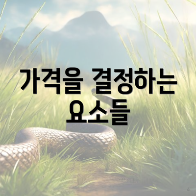 가격을 결정하는 요소들