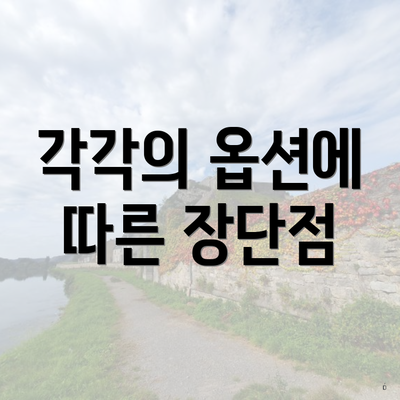 각각의 옵션에 따른 장단점