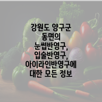 강원도 양구군 동면의 눈썹반영구, 입술반영구, 아이라인반영구에 대한 모든 정보