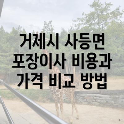 거제시 사등면 포장이사 비용과 가격 비교 방법