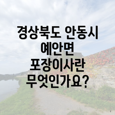 경상북도 안동시 예안면 포장이사란 무엇인가요?