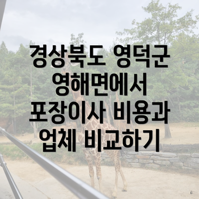 경상북도 영덕군 영해면에서 포장이사 비용과 업체 비교하기