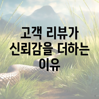 고객 리뷰가 신뢰감을 더하는 이유