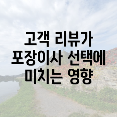 고객 리뷰가 포장이사 선택에 미치는 영향