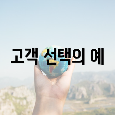 고객 선택의 예