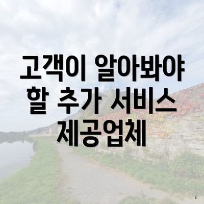 고객이 알아봐야 할 추가 서비스 제공업체