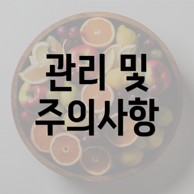 관리 및 주의사항