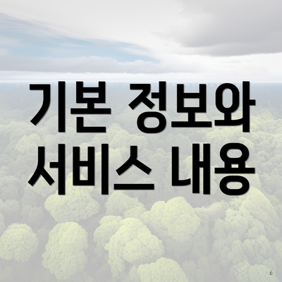 기본 정보와 서비스 내용