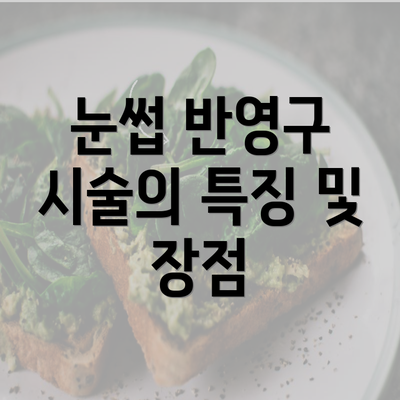 눈썹 반영구 시술의 특징 및 장점