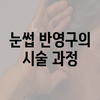 눈썹 반영구의 시술 과정