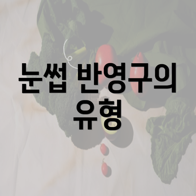 눈썹 반영구의 유형