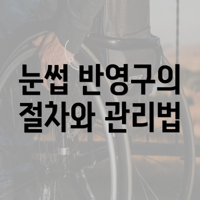 눈썹 반영구의 절차와 관리법