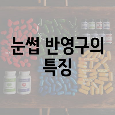 눈썹 반영구의 특징