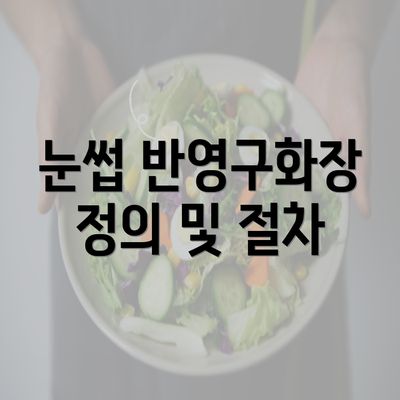 눈썹 반영구화장 정의 및 절차