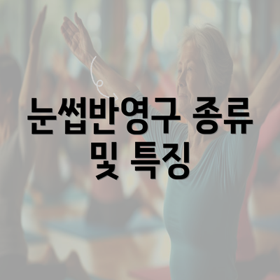 눈썹반영구 종류 및 특징