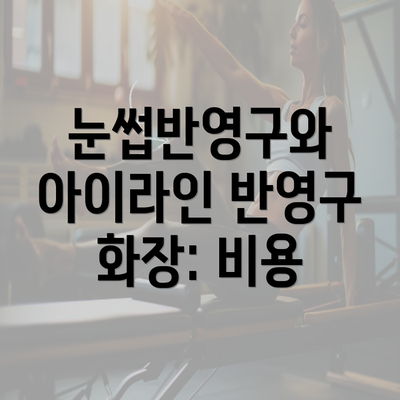 눈썹반영구와 아이라인 반영구 화장: 비용