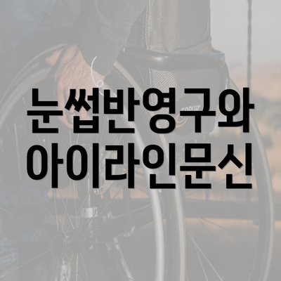 눈썹반영구와 아이라인문신