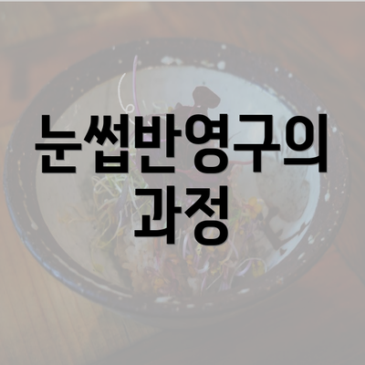 눈썹반영구의 과정