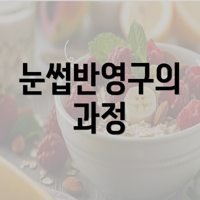 눈썹반영구의 과정