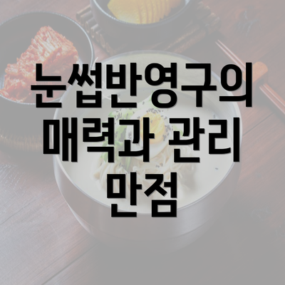 눈썹반영구의 매력과 관리 만점