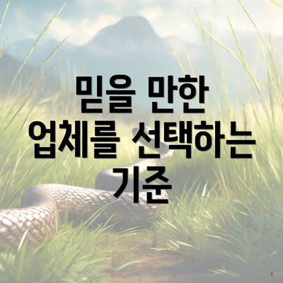 믿을 만한 업체를 선택하는 기준