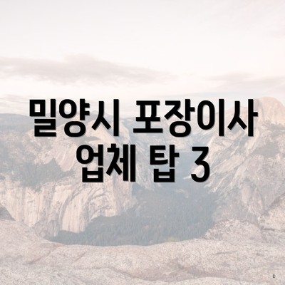 밀양시 포장이사 업체 탑 3