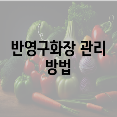 반영구화장 관리 방법