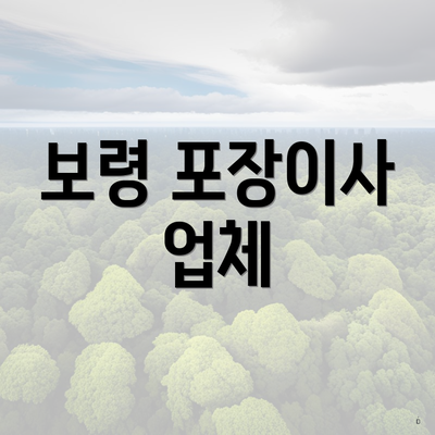 보령 포장이사 업체