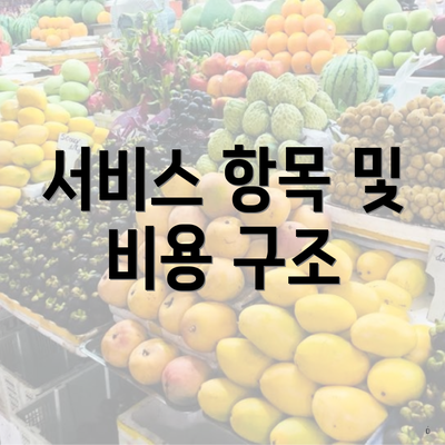 서비스 항목 및 비용 구조