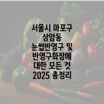 서울시 마포구 상암동 눈썹반영구 및 반영구화장에 대한 모든 것 2025 총정리