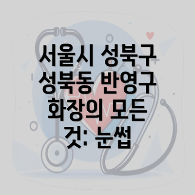 서울시 성북구 성북동 반영구 화장의 모든 것: 눈썹