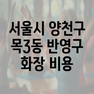 서울시 양천구 목3동 반영구 화장 비용