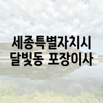 세종특별자치시 달빛동 포장이사