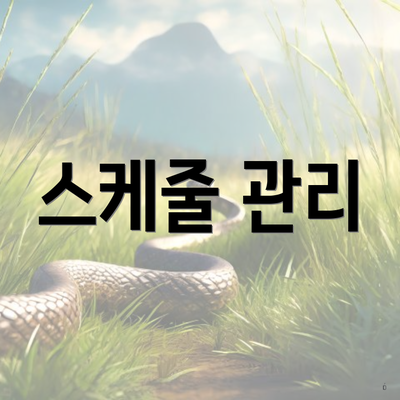 스케줄 관리