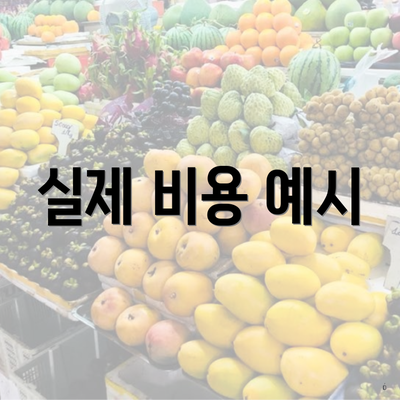 실제 비용 예시