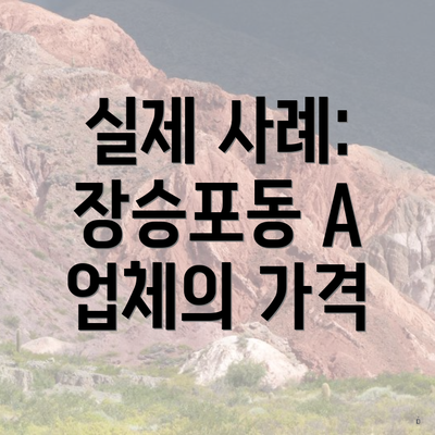 실제 사례: 장승포동 A 업체의 가격