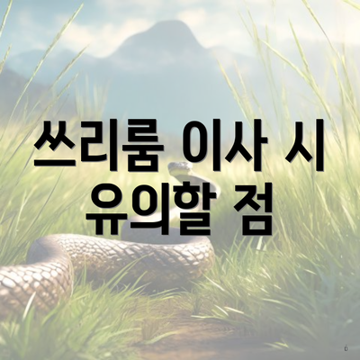 쓰리룸 이사 시 유의할 점