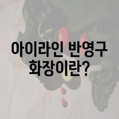 아이라인 반영구 화장이란?