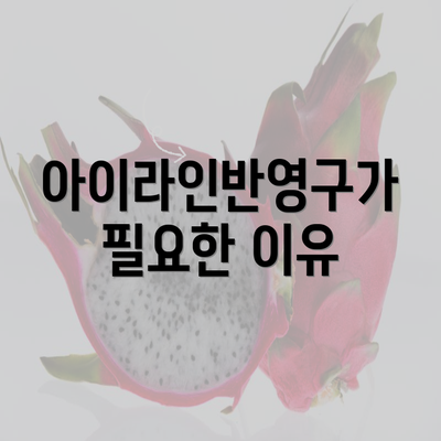 아이라인반영구가 필요한 이유