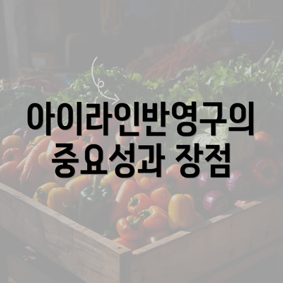 아이라인반영구의 중요성과 장점