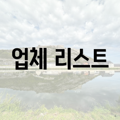 업체 리스트