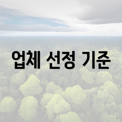 업체 선정 기준