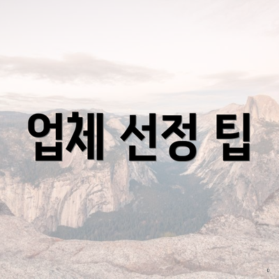 업체 선정 팁