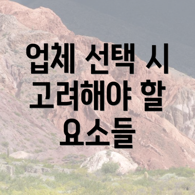 업체 선택 시 고려해야 할 요소들