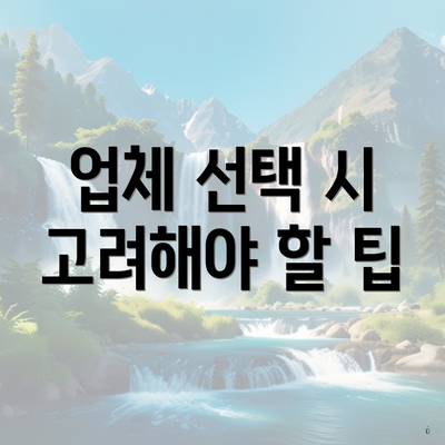 업체 선택 시 고려해야 할 팁