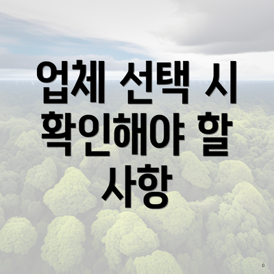 업체 선택 시 확인해야 할 사항