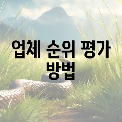 업체 순위 평가 방법