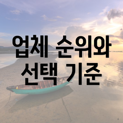 업체 순위와 선택 기준